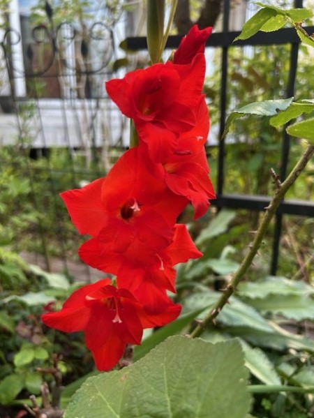 thumbnail_IMG_0640 (2)