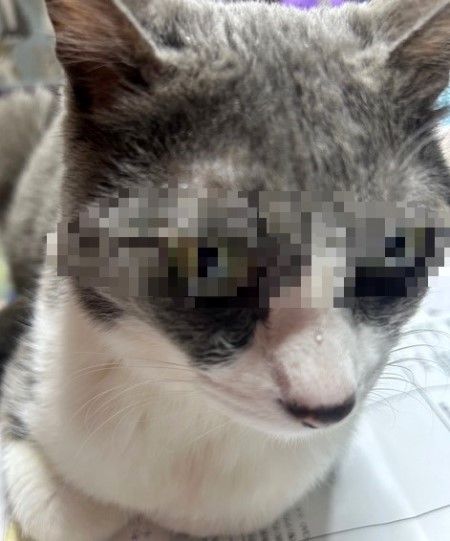 thumbnail_IMG_4229 (1)_1