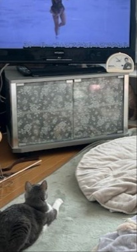 70af3326-e03d-4f45-b26e-1ef1e6784321