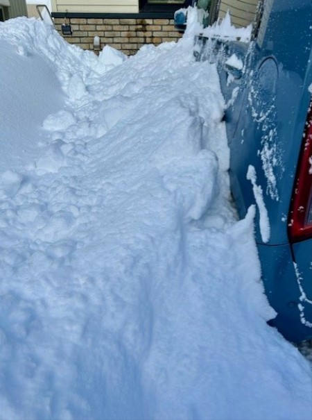 8849c47b-5451-4e59-bad0-c6e4665de662