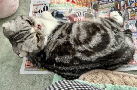 thumbnail_IMG_5966 (1)