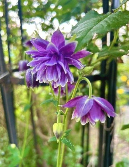 thumbnail_IMG_7308 (1)
