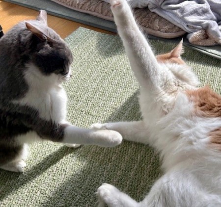 936e5841-a19c-4964-bc19-3a9b4ba91a2a