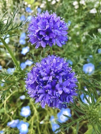 thumbnail_IMG_4657 (2)