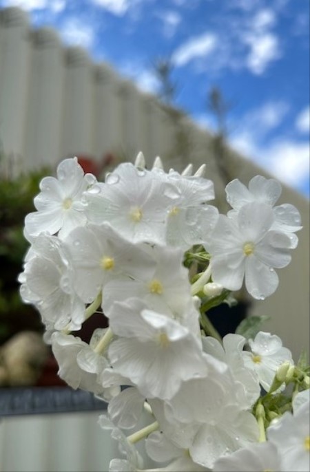 thumbnail_IMG_4814 (1)