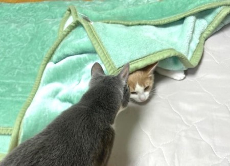 thumbnail_IMG_5257