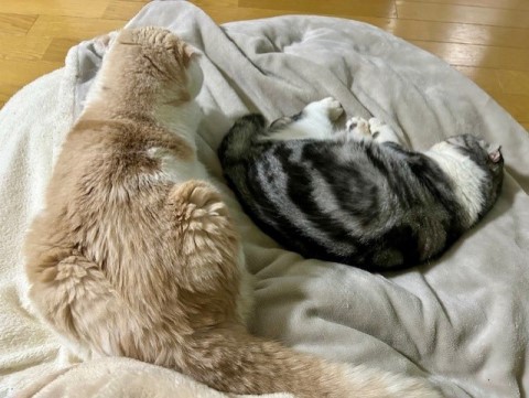 thumbnail_IMG_0499 (3)