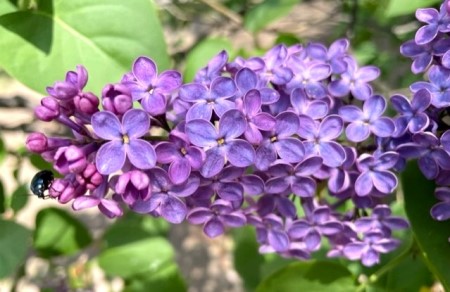 thumbnail_IMG_0794