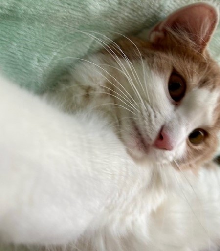 thumbnail_IMG_8372 (3)