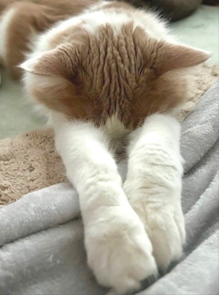 thumbnail_IMG_4642 (1)