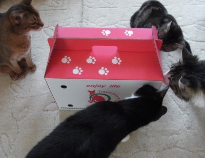 d7c09e00