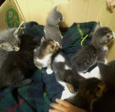 o0800106712120453830