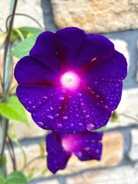 thumbnail_IMG_5558