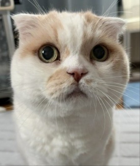 9f1aa477-aec9-4bc9-8d23-4c24282374a9