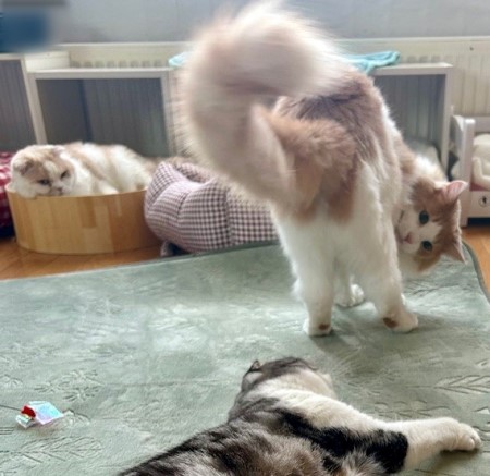 thumbnail_IMG_5184 (1)