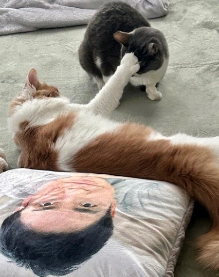 thumbnail_IMG_3926 (2)