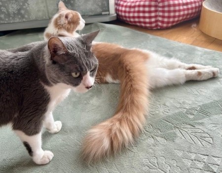 thumbnail_IMG_6021 (1)