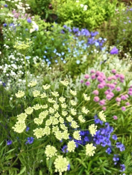 thumbnail_IMG_4650 (3)