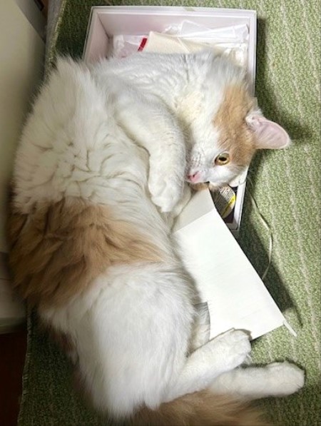 thumbnail_IMG_6203 (1)