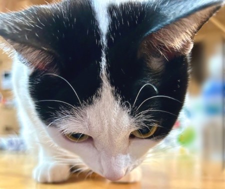 dfcf0173-62ca-4cd4-8619-6114484a3ea4