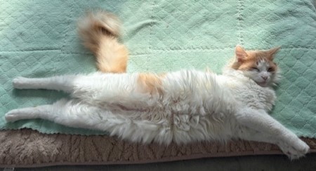 79c81cd0-7c58-40f1-9d17-f467fb2c7f05