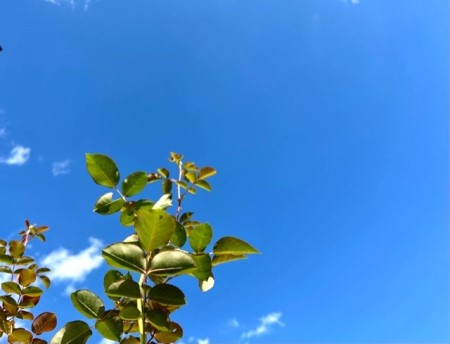 thumbnail_IMG_9047 (1)