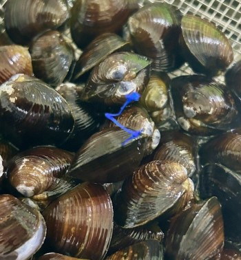 thumbnail_IMG_3043 (1)