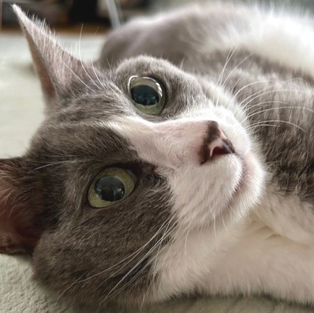 thumbnail_IMG_2550 (1)