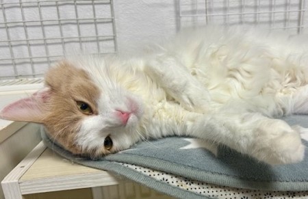 9cf70364-e9eb-42b7-a96f-8b10439d0a22