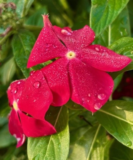 thumbnail_IMG_2280