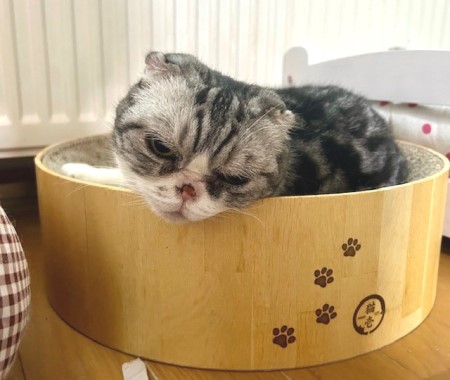 thumbnail_IMG_3460 (1)