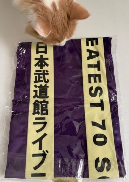 郷ひろみさんのファンの方からいただいた大切なグッズ : 猫だらけ