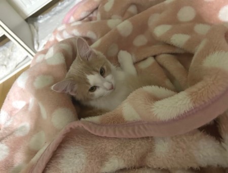 thumbnail_IMG_5487 (1)