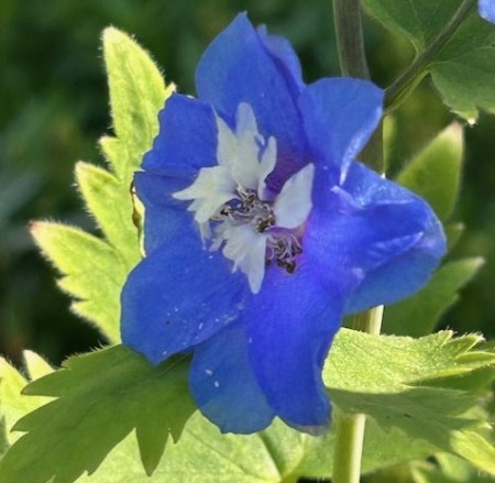 thumbnail_IMG_2165 (1)