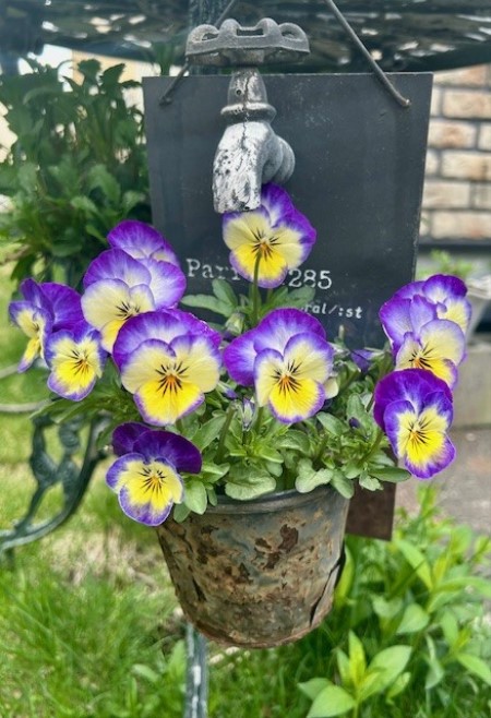 thumbnail_IMG_5771 (1)