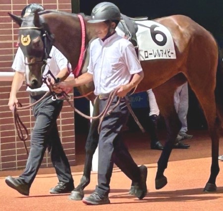 thumbnail_IMG_1466 (3)