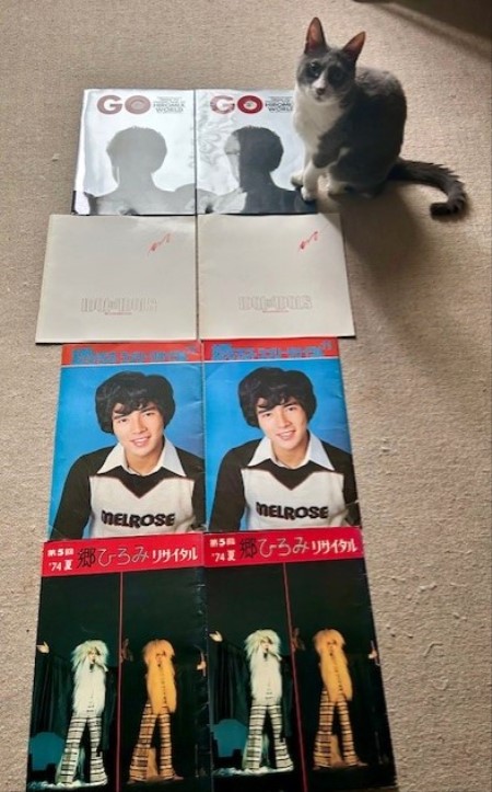 ひろみさん専用ページ 郷ひろみさんの1974年のコンサートのパンフレット : 猫だらけ Powered