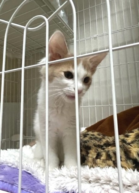 thumbnail_IMG_9323 (1)