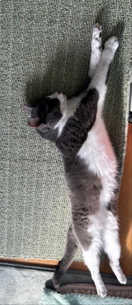 thumbnail_IMG_6021 (1)