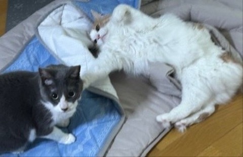 thumbnail_IMG_4198 (1)