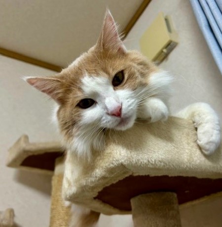 3bddc8fc-8086-4c8e-ade9-bb1e526b0414