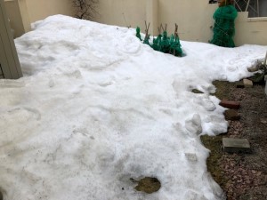 IMG_15362