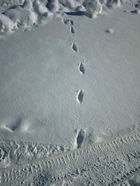 7468ee08-59f8-4574-94fc-583b81ab0548