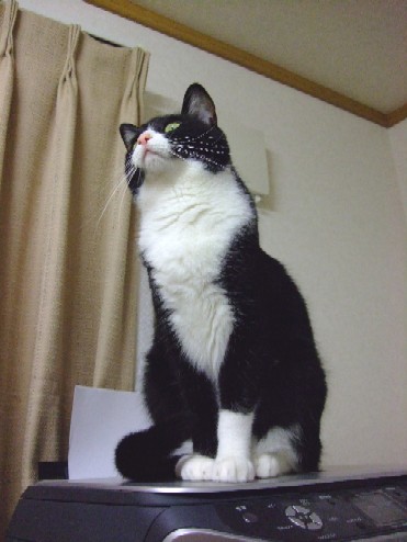 20070818200118