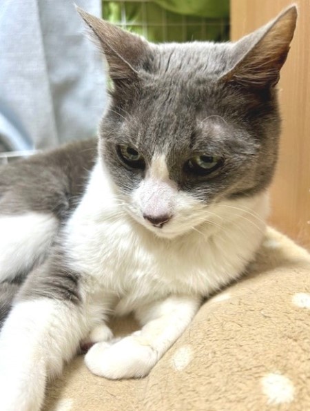 bffe7e85-163b-4eca-8a23-efbe5625cabd