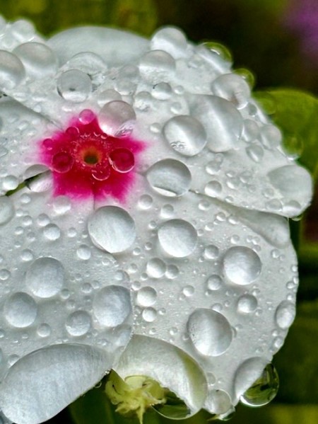 thumbnail_IMG_3550 (1)