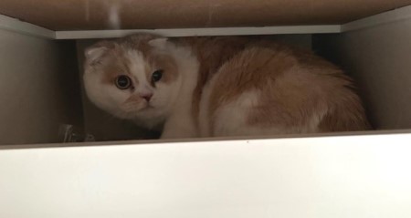 thumbnail_IMG_9702_1