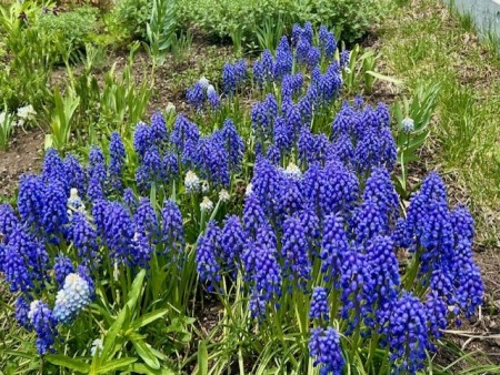 thumbnail_IMG_6032 (1)