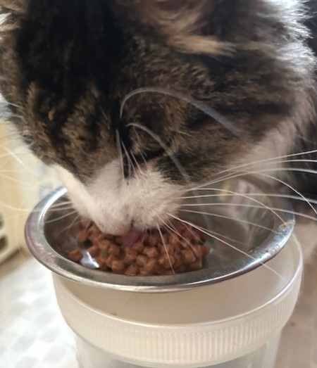 thumbnail_IMG_5130 (1)