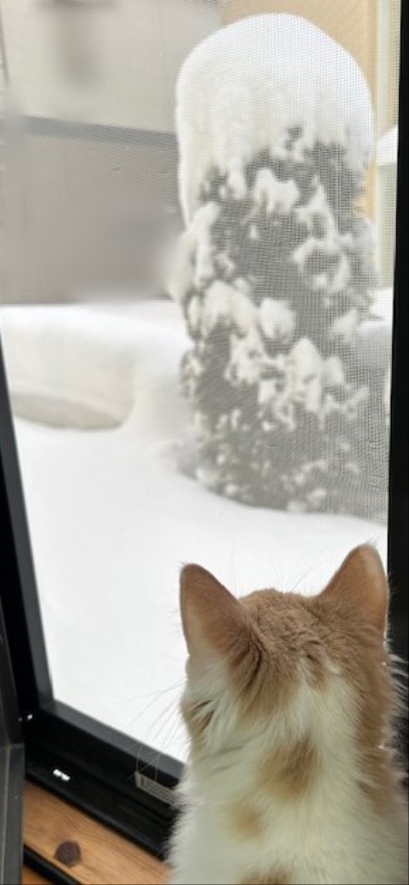 thumbnail_IMG_6364 (1)